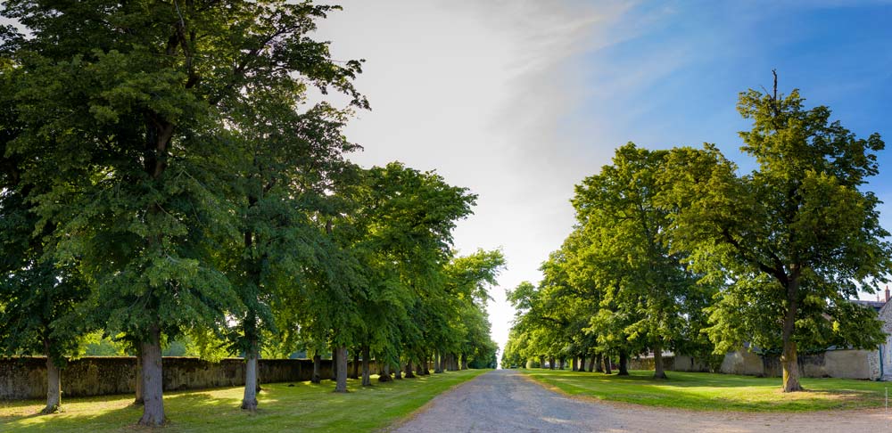 Domaine de Montigny le Gannelon