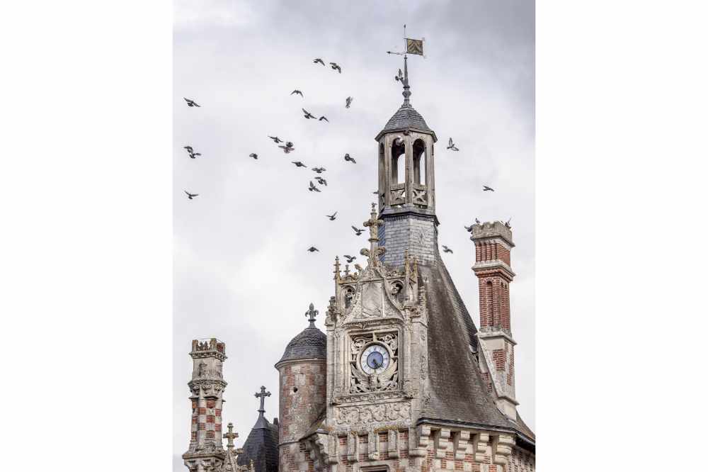 Visite guidé Château de Montigny le Gannelon